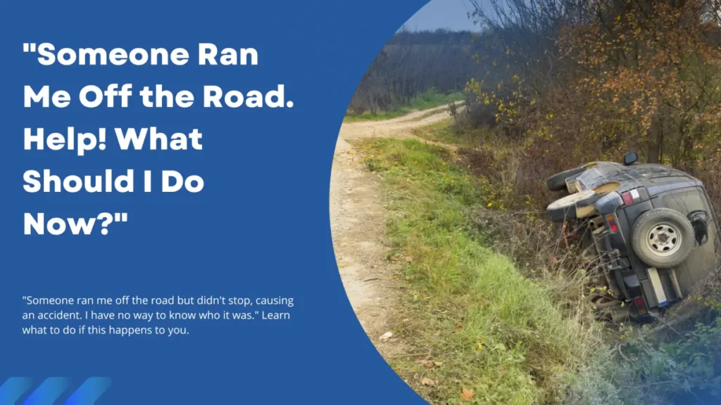 Someone ran me off the road. What now?